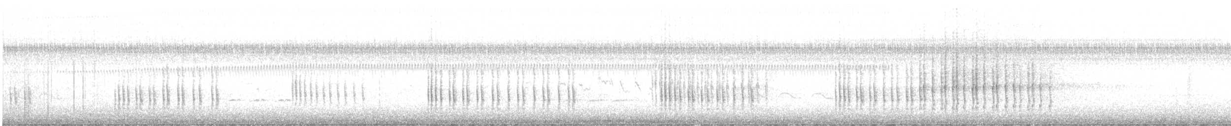 Belted Kingfisher - ML641550796