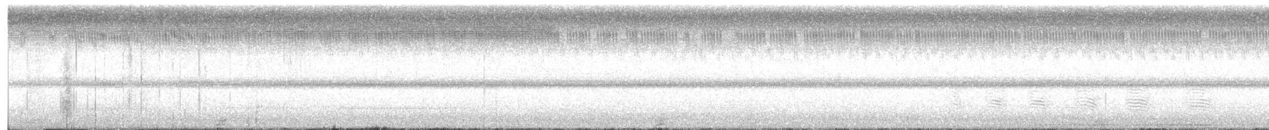 ズグロミゾゴイ - ML641551185