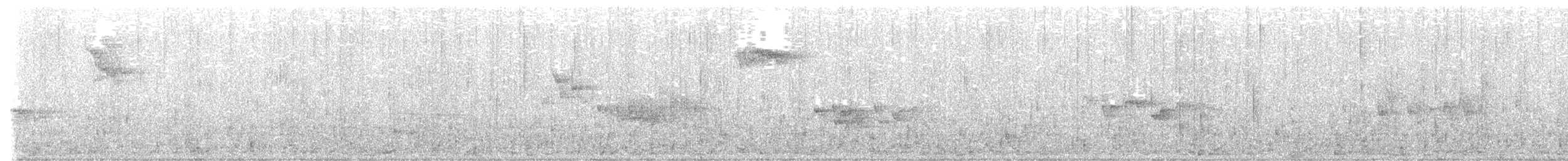 European Robin - ML641552254