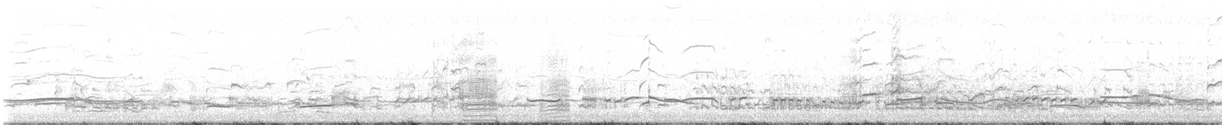 Black-bellied Plover - ML641552783