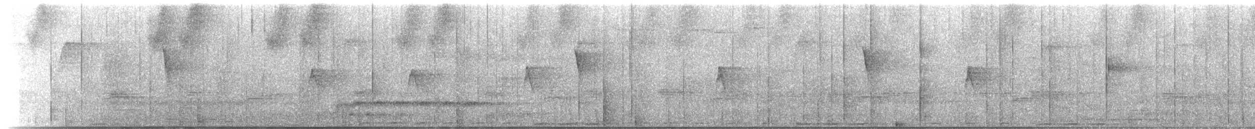 Rufous Motmot - ML641553134