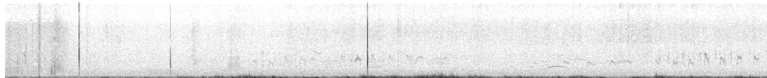 Crissal Thrasher - ML641553558