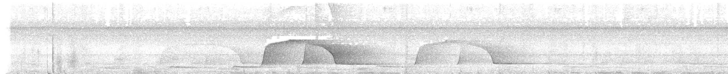 Piauhau hurleur - ML641554184