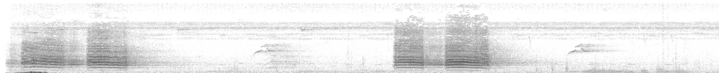 紅綠金剛鸚鵡 - ML641554417