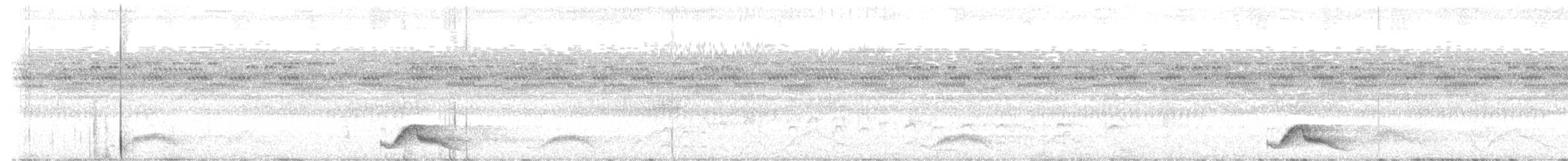 Common Pauraque - ML641555050