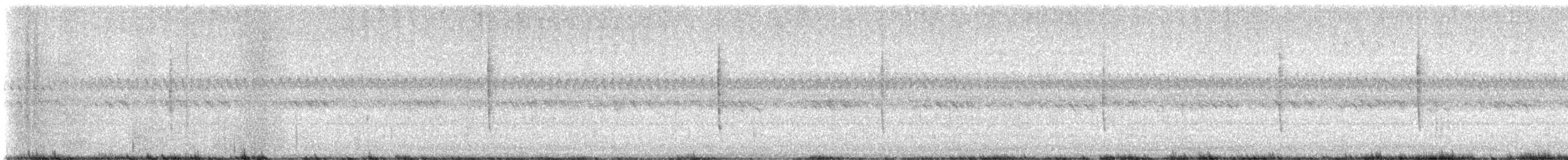 new world sparrow sp. - ML641555639