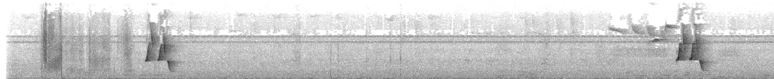 Bay Wren - ML641557580
