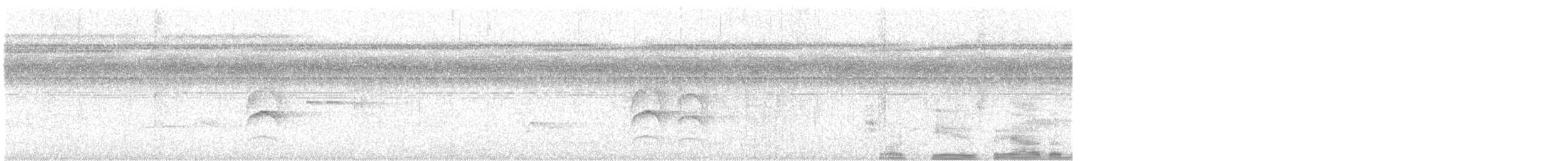 Amazonian Streaked-Antwren - ML641557903