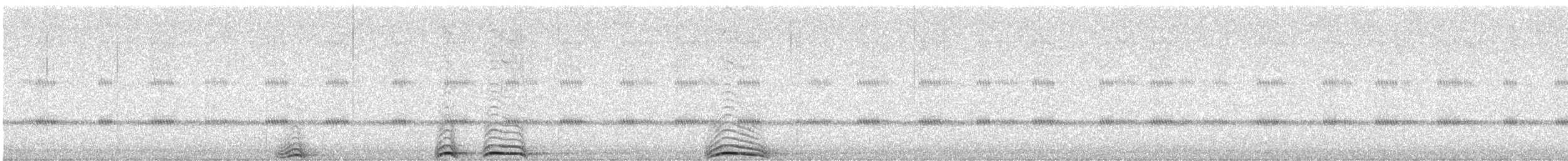 Fleckenkauz - ML641558446