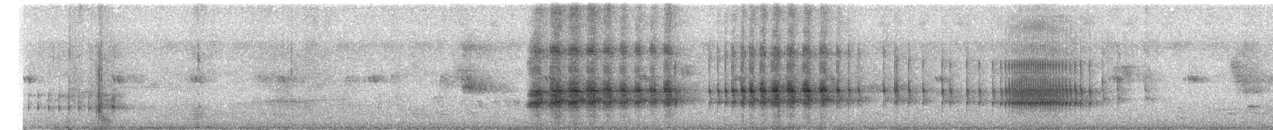 Blue-bellied Roller - ML641558615