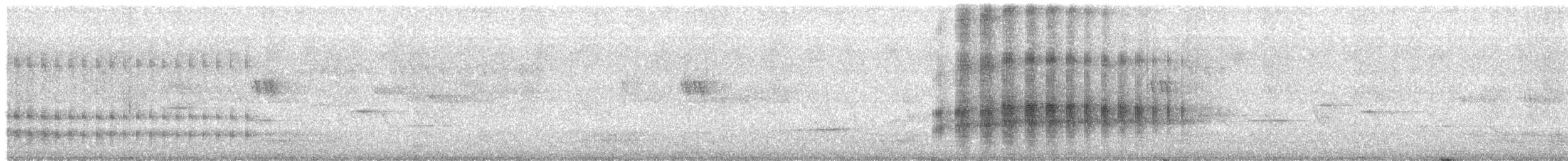 Blue-bellied Roller - ML641558858