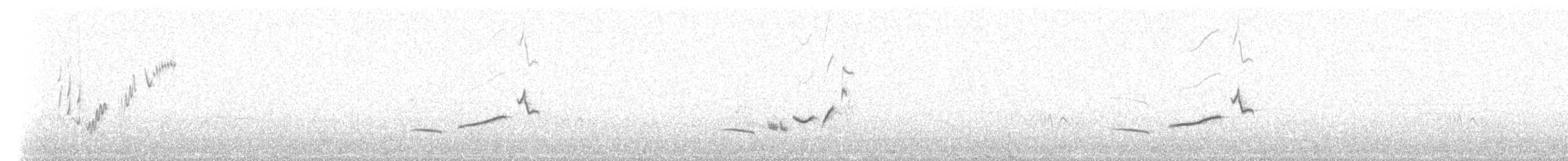 Cape Robin-Chat - ML641558973
