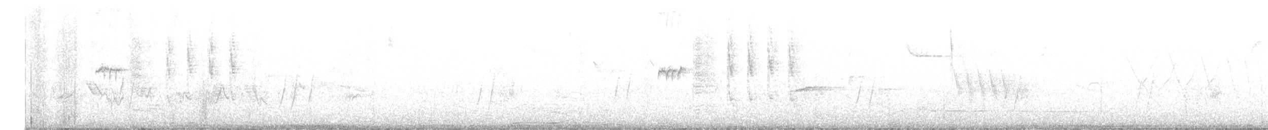 Berylline Hummingbird - ML641559325