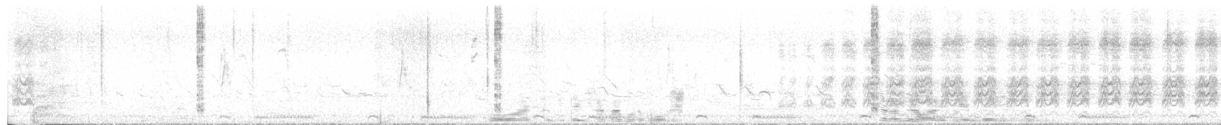 Southern Pied-Babbler - ML641560102