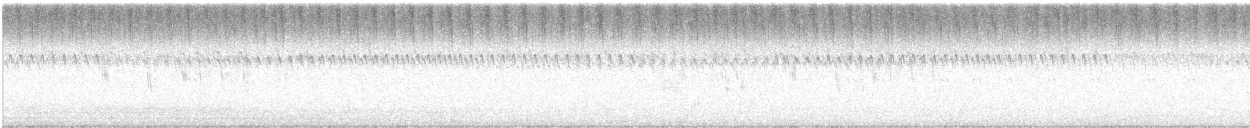 Sedge Wren - ML641561578