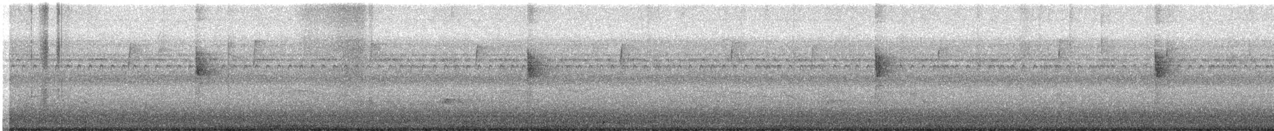 Northern Waterthrush - ML641561799