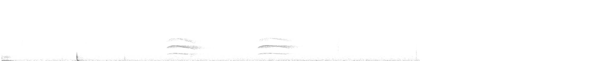 American Goshawk - ML641563469