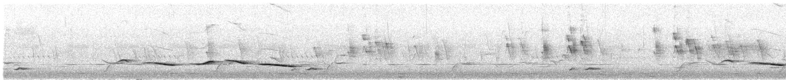Black-crowned Tchagra - ML641565655