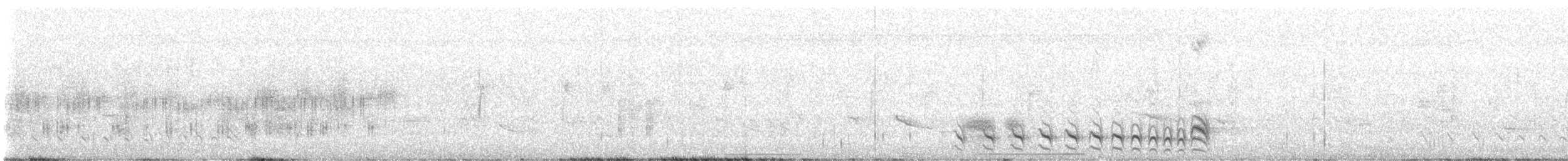 Barred Antshrike - ML641565862