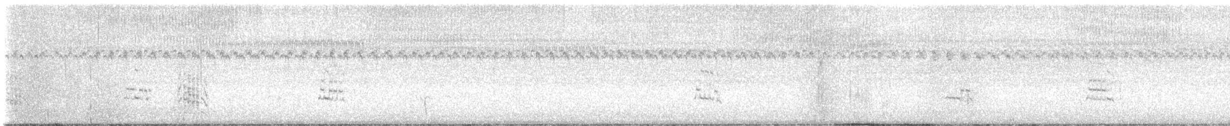 Royal Tern - ML641566734