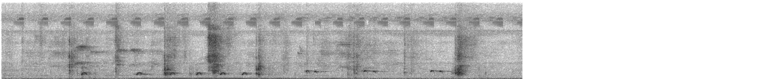 Bengalenkuckuck - ML641567406