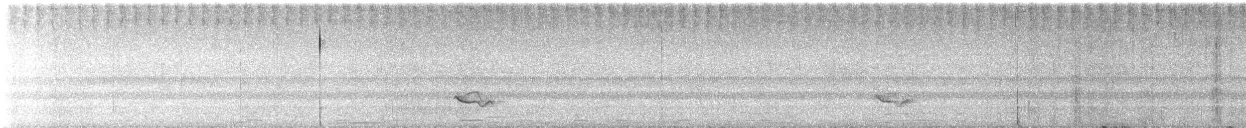 Восточная сиалия - ML641567469