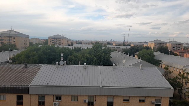 rorýs šedohnědý - ML641571711