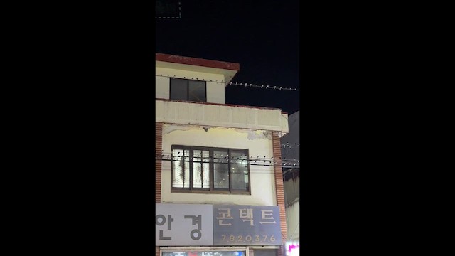 סנונית רפתות - ML641572836