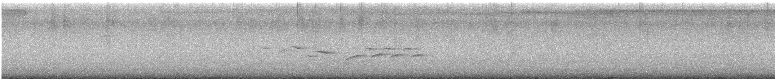Morelet Tohumculu - ML641573942