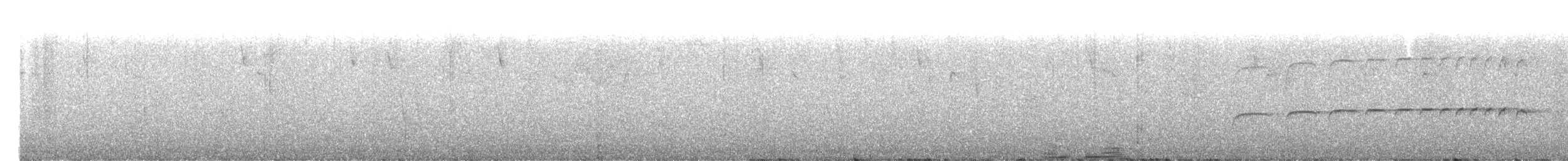 Barred Becard - ML641574284