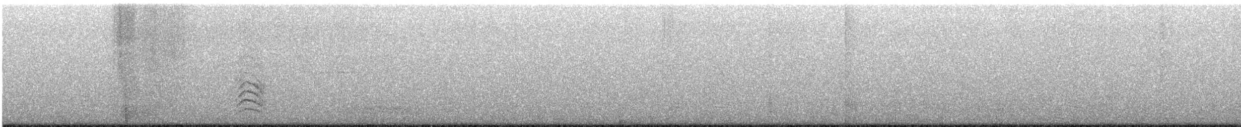 Scott's Oriole - ML641574950
