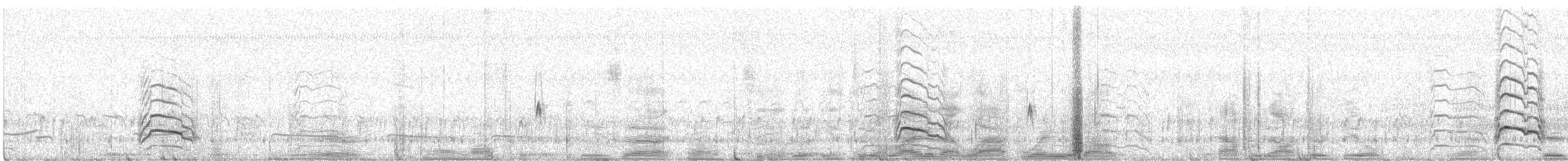 Large-billed Tern - ML641575784