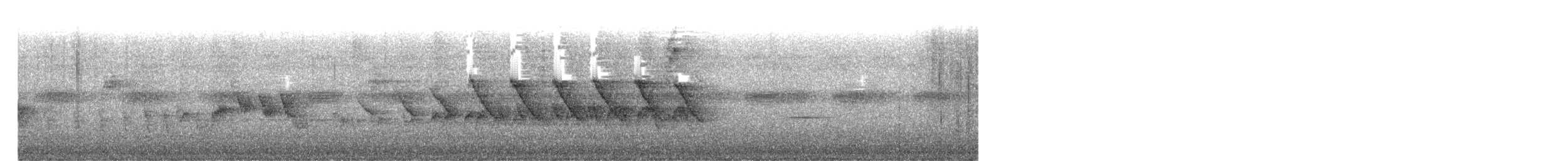 Two-banded Warbler - ML641578078
