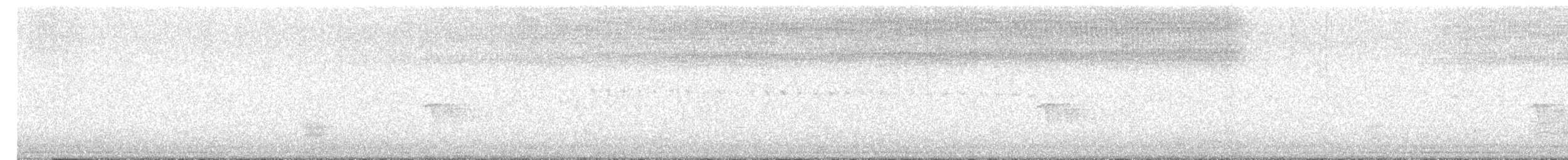 Kuliska pikarta - ML641578127