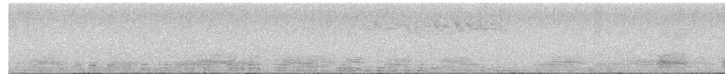 Cormorano - ML641578276