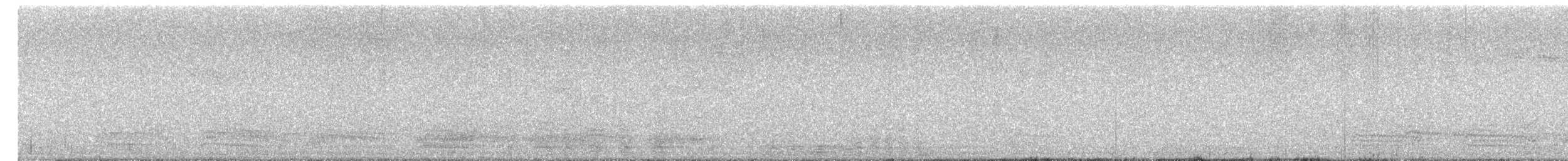 Cormorano - ML641578277