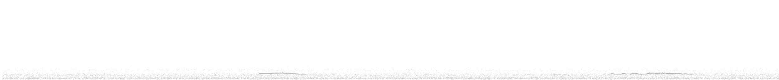 kattugle - ML641579640