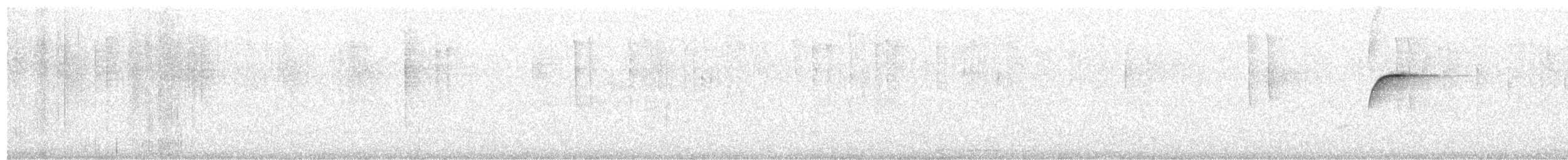 キメジロハエトリ - ML641579797