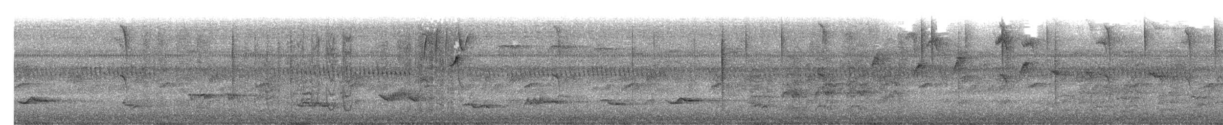 Turdus sp. - ML641581836