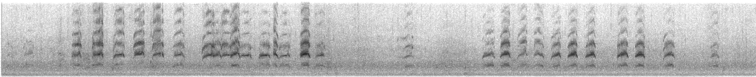 Forster's Tern - ML641583740