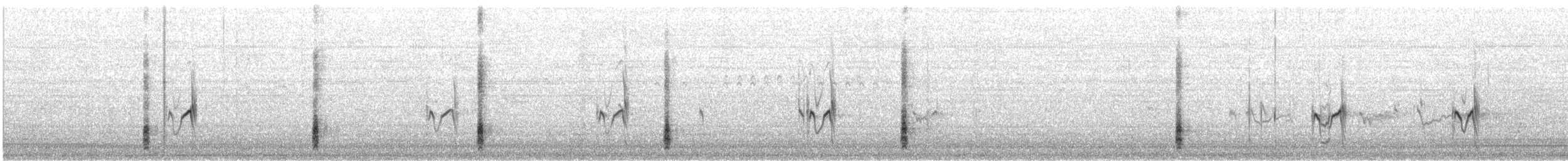 Semipalmated Plover - ML641583908