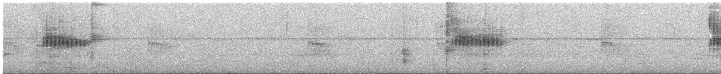 Scalloped Antbird - ML641584015