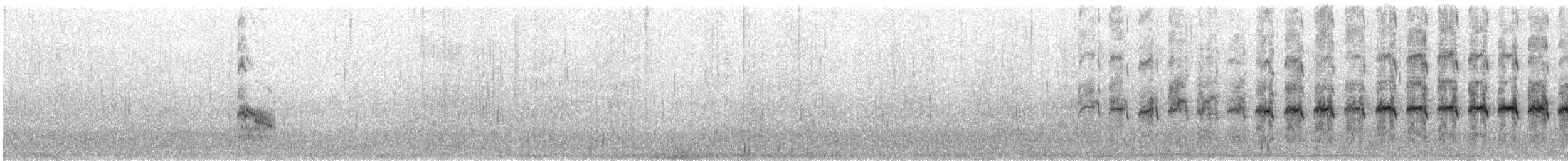 Forster's Tern - ML641584060