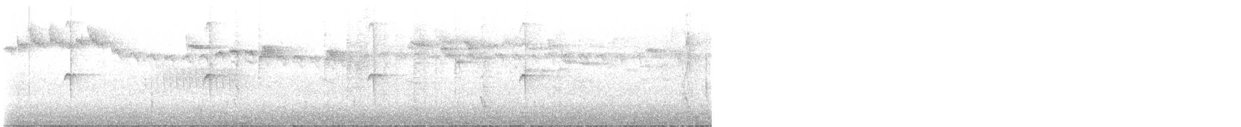 kolibřík velký - ML641584105
