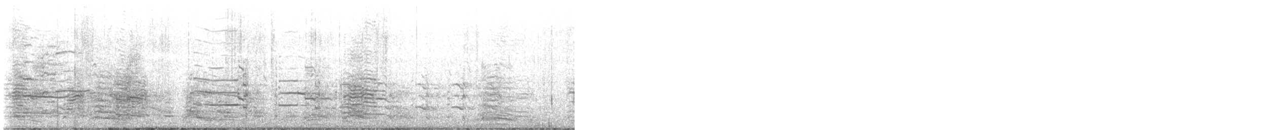Kelp Gull - ML641584353