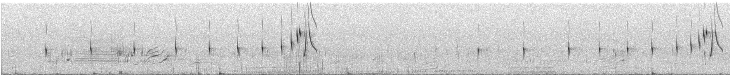 flekknebbmarktyrann - ML641584522