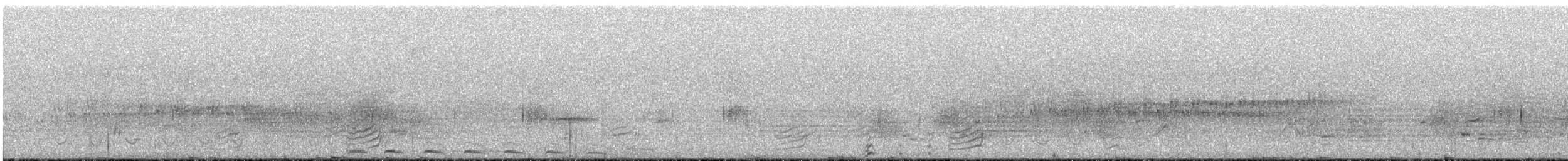 hvitstrupetapakulo - ML641585268
