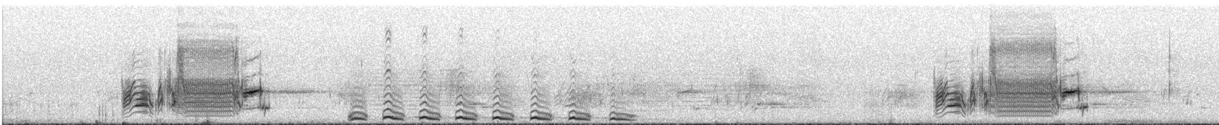 hvitstrupetapakulo - ML641585808