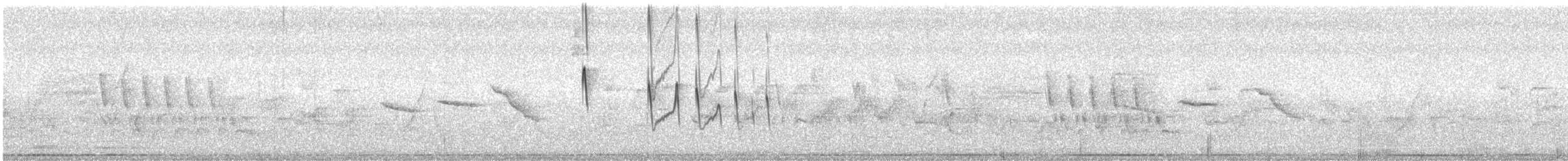 Southern Beardless-Tyrannulet - ML641586919