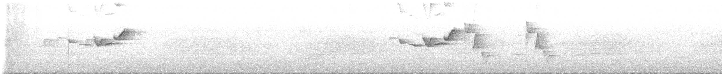 ムジミソサザイ - ML641587396